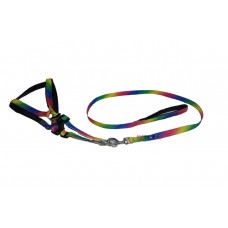 Scoobee Dog Multicolor Padded Nylon Harness And Leash Set 0.75 Inch